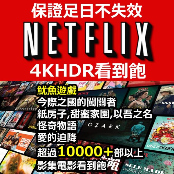 Netflix 帳號共享 獨享 4K 網飛 奈飛 不鎖區 影音串流平台 合租帳號 企業經營號