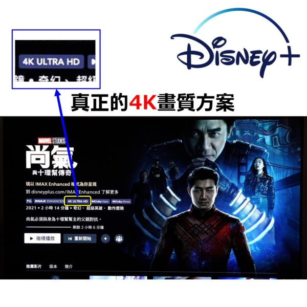 迪士尼plus 迪士尼 D+ 帳號 共享 Disney plus  共享帳號 一年 可客製