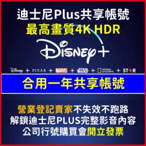 迪士尼plus 迪士尼 D+ 帳號 共享 Disney plus  共享帳號 一年 可客製